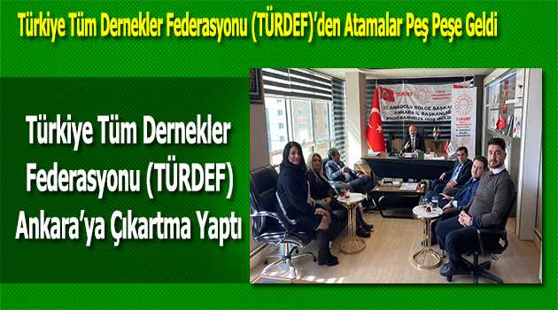 Türkiye Tüm Dernekler Federasyonu (TÜRDEF) Ankara'ya Çıkartma Yaptı 