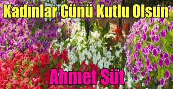 Ahmet Süt, Dünya Kadınlar Günü Mesajı