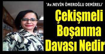 Çekişmeli Boşanma Davası Nedir?