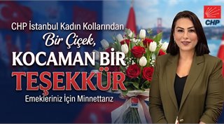 CHP İstanbul Kadın Kollarından Bir Çiçek, Kocaman Bir Teşekkür