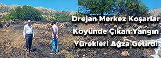  Drejan Merkez Koşarlar Köyünde Çıkan Yangın Yürekleri Ağza Getirdi