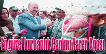 En güzel kurbanlık Çankırı Yaren Ağası