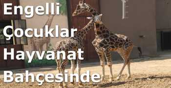 Engelli Çocuklar Hayvanat Bahçesinde