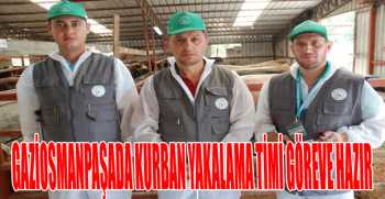 GAZİOSMANPAŞADA KURBAN YAKALAMA TİMİ GÖREVE HAZIR