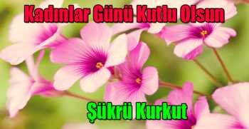 Şükrü Kurkut'tan Dünya Kadınlar Günü Mesajı