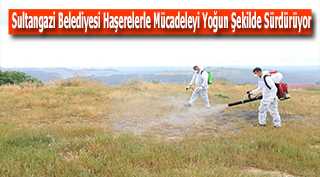 Sultangazi Belediyesi Haşerelerle Mücadeleyi Yoğun Şekilde Sürdürüyor
