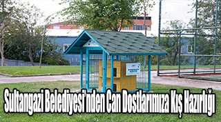 Sultangazi Belediyesi'nden Can Dostlarımıza Kış Hazırlığı