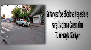 Sultangazi'de böcek ve haşerelere karşı ilaçlama çalışmaları tüm hızıyla sürüyor