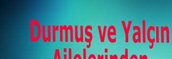 Durmuş ve Yalçın Ailelerinden Muhteşem Nişan Töreni