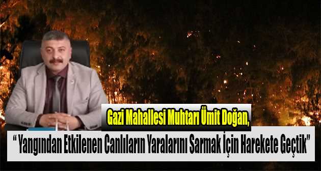 Gazi Mahallesi Muhtarı Ümit Doğan, " Yangından Etkilenen Canlıların Yaralarını Sarmak İçin Harekete Geçtik "