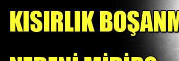 KISIRLIK BOŞANMA NEDENİ MİDİR?