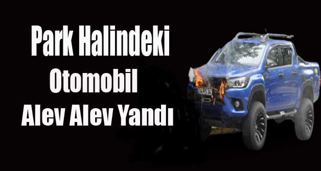 Park Halindeki Otomobil Alev Alev Yandı