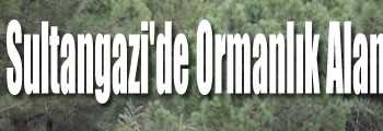 Sultangazi'de Ormanlık Alanda Polis Uygulaması